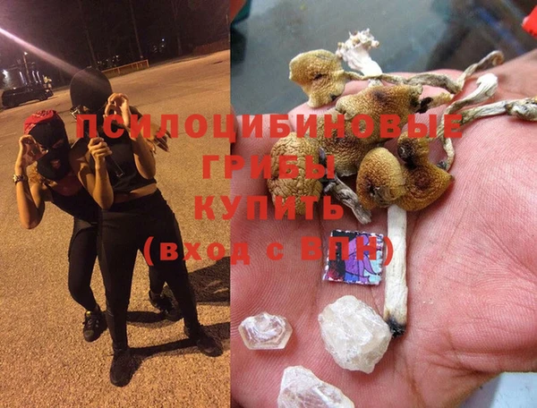 молекула духа Кинешма