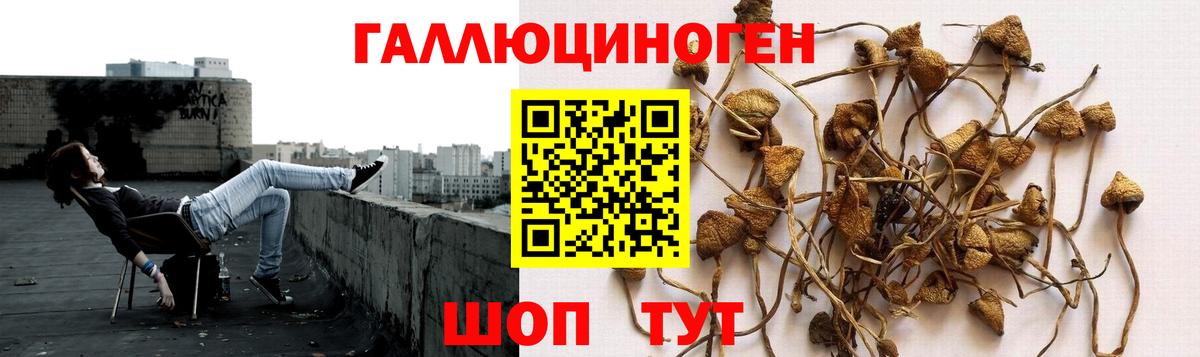 Псилоцибиновые грибы мицелий  Вход с VPN  магазин  наркотиков  Маркс  Галлюциногенные грибы ЛСД 